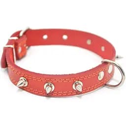 Нашийник для собак Zoo-hunt шкіряний з шипами подвійний червоний ОДШ 2,5/36-45 см