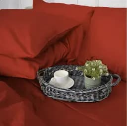 Простыня Mirson сатин Satin Premium 0081 Terracotta 160х110 см (2200010929089)