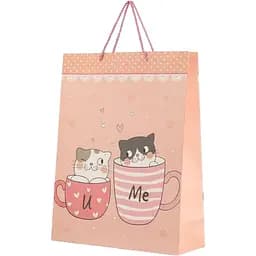 Пакет подарунковий XDW111163 Пудровий