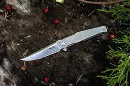Ніж cкладний Ruike P108-SF, Сріблястий - мініатюра 6