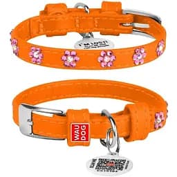Нашийник для собак Waudog Glamour шкіряний з QR паспортом, з клейовими стразами Квіточка, XS, Ш 9 мм, Дов 18-21 см (4820082498726)