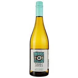 Вино Tierra Antica Chardonnay біле сухе 0.75 л