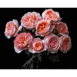 Картина по номерам Strateg Розовые цветы на черном фоне 40х50 см (AH1256)