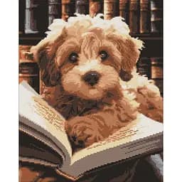 Алмазна мозаїка Пухнастий читач AMO7973, 40 x 50