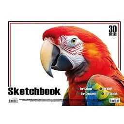 Альбом для малювання Папуга KT13022501 пружина 30 аркушів