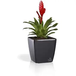 Вазон Plastkon Quadrato Flower Lover 18x18x17 см антрацит - мініатюра 3