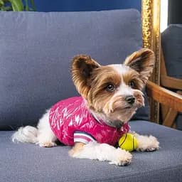 Бомбер Pet Fashion Grace для собак, розмір L, рожевий - мініатюра 4