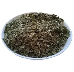 Подорожник великий Листя Plantago major