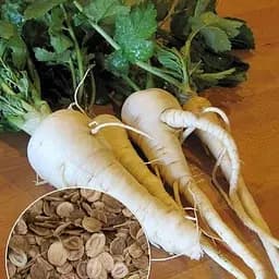 Пастернак ТМ "Весна"  5г (13399)