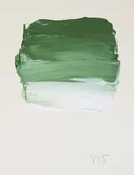 Олійна фарба Rive gauche 40 мл, Зелений оксид хрому (Chrome Oxide Green) - мініатюра 2