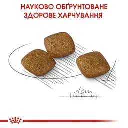 Сухий корм для собак малих порід, чутливих до змін середовища Royal Canin Mini Relax Care, 3 кг (1224030) - мініатюра 5