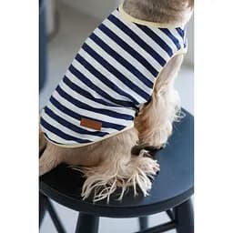 Майка Pet Fashion Tropic для собак XS2 - мініатюра 6