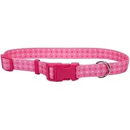 Нашийник для собак Coastal Pet Attire Style 2.5х46-66см