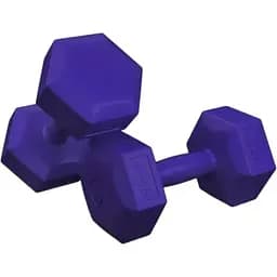 Гантели для фитнеса композитные Hop-Sport HS-C040DS 2х4кг фиолетовый