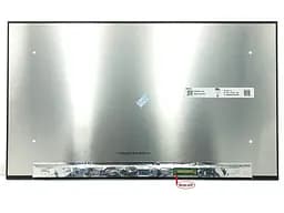 Матриця B156HAK02.2 з тачскріном 15.6" Slim eDP 350mm 1920х1080, IPS, 40pin, без панелі та кріплень, матова