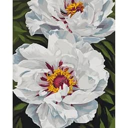 Картина за номерами на підрамнику Brushme Біле сяйво Анастасія Альохіна