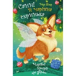 Санні й чарівна скринька