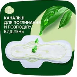 Гігієнічні прокладки Naturella Classic Night 14 шт. - мініатюра 2
