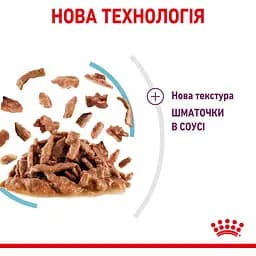 Вологий корм для дорослих котів Royal Canin Sensory Smell Gravy шматочки в соусі 1.02 кг (12 шт. х 85 г) - мініатюра 7