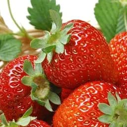 Саженец Agro-Market Клубника Виктория (ремонтантный сорт) 5 шт.