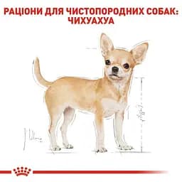 Вологий корм Royal Canin Chihuahua Adult для собак породи Чихуахуа 85 г (2041001) - мініатюра 3