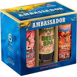 Набор пива Forever Ambassador 4.5-5.5% 3 л (6 шт. по 0.5 л)