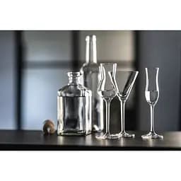 Келих для мартіні Schott Zwiesel Bar Special 166 мл 1 шт. (111231) - мініатюра 6