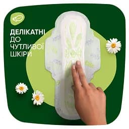 Гігієнічні прокладки Naturella Ultra Night Plus 12 шт. - мініатюра 5