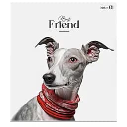 Зошит загальний Школярик Colour Mix 048-3312K-3 в клітинку 48 аркушів