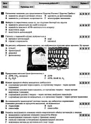 Біологія і екологія. 10 клас. Тестовий контроль результатів навчання. Профільний рівень - мініатюра 6