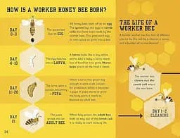 The Bee Book - мініатюра 2