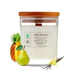 Аромасвічка Three seasons L PURITY 150 г