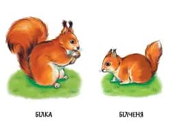22 картинки. Мами і дитинчата - - мініатюра 3