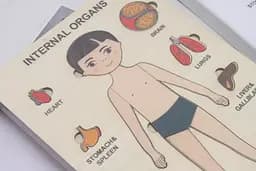 Пазли навчальні Strateg Internal Organs (30349) - мініатюра 3