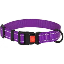 Нашийник для собак Barksi Active світловідбивний пластиковий фастекс 43-66х2.5 см фіолетовий