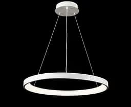 Люстра стельова LED Splendid Ray L2551/580/1, регульована температура світла, білий, сучасний стиль, 40-140 см - мініатюра 4