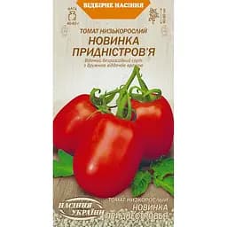 Семена Томат низкорослый Насіння України Новинка Приднестровья 0.1 г (649400)