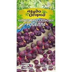 Семена Капуста брюссельская Насіння України Роселла 0.5 г (662400)