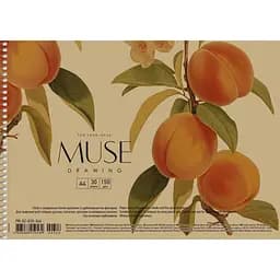 Альбом Muse Drawing на спіралі A4 30 аркушів в асортименті (PB-SC-030-346) - мініатюра 2