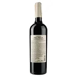 Вино Tierra Telteca Cabernet Franc, сухе, червоне, 12,5%, 0,75 л - мініатюра 2