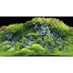 Задній фон Hobby Planted River/Green Rocks 60x30 см (31043) - мініатюра 3