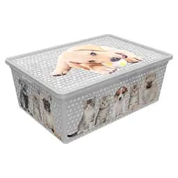 Коробка Qutu Light Box Cats and Dogs 10 л 37х26х14 см білий (LIGHT BOX с/к CATS AND DOGS 10л.)