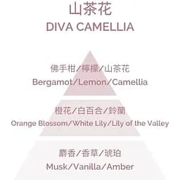 Ароматична свічка Plantes & Parfums Diva Camelia 180 г - мініатюра 3