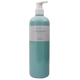 Шампунь для волос Valmona Увлажнение Recharge Solution Blue Clinic Shampoo, 480 мл