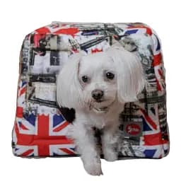 Лежак для кошек Diego rest transformer Британия