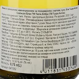 Вино Tierra Antica Sauvignon Blanc біле сухе 0.75 л - мініатюра 3