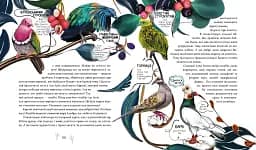 Такі, як ми. Про тварин та їхні характери - мініатюра 3