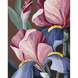 Картина по номерам Brushme Петушки © Yana Biluhina 40x50 см