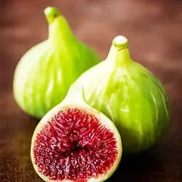 Інжир Білий Адріатичний 1 саджанець в упаковці (36082)