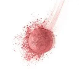 Рум'яна Bourjois Blush 74 2.5 г (8000018001067) - мініатюра 2